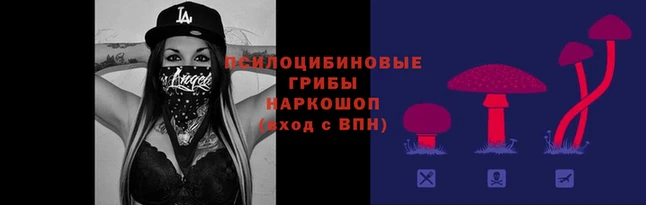 гидра Абинск